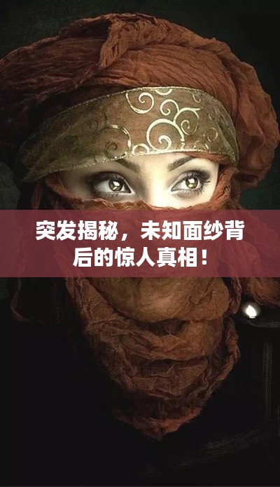 突發(fā)揭秘，未知面紗背后的驚人真相！