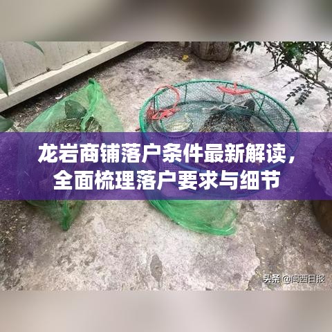 龍巖商鋪落戶條件最新解讀，全面梳理落戶要求與細節(jié)