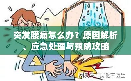 突發(fā)腰痛怎么辦？原因解析、應(yīng)急處理與預(yù)防攻略