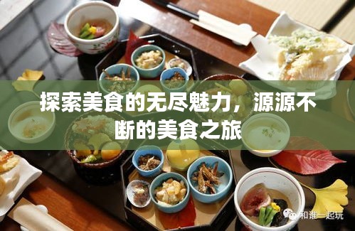 探索美食的無(wú)盡魅力，源源不斷的美食之旅