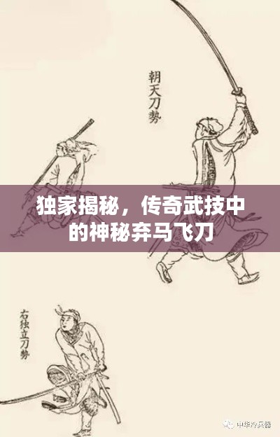 獨家揭秘，傳奇武技中的神秘棄馬飛刀