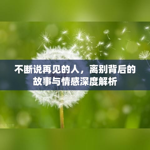 不斷說再見的人，離別背后的故事與情感深度解析