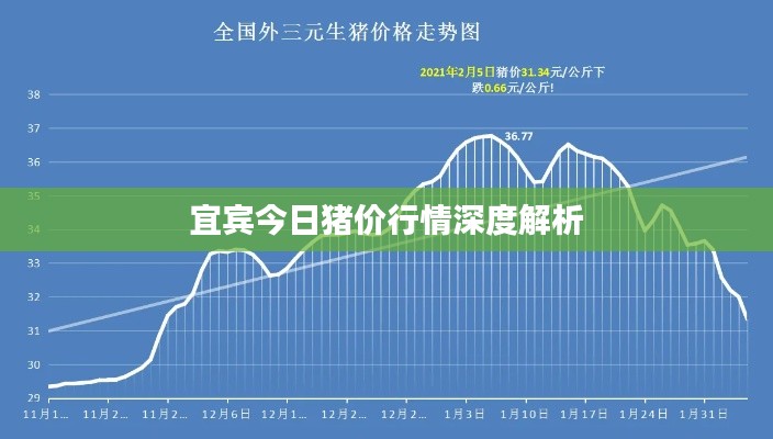 宜賓今日豬價(jià)行情深度解析