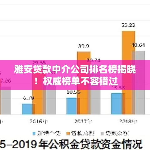 雅安貸款中介公司排名榜揭曉！權(quán)威榜單不容錯(cuò)過