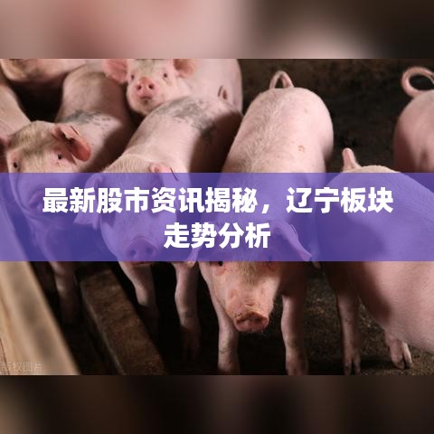 最新股市資訊揭秘，遼寧板塊走勢(shì)分析