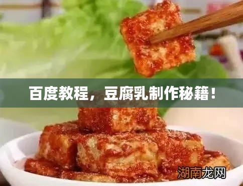 百度教程，豆腐乳制作秘籍！