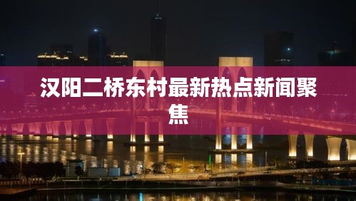 漢陽二橋東村最新熱點新聞聚焦