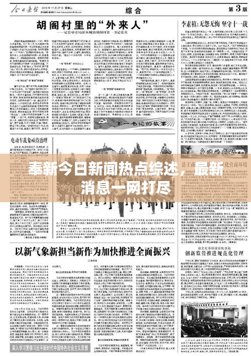 奉新今日新聞熱點綜述，最新消息一網(wǎng)打盡