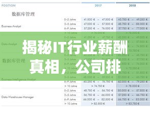 揭秘IT行業(yè)薪酬真相，公司排名大揭秘！