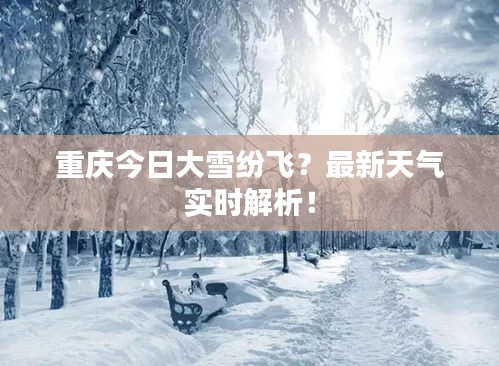 重慶今日大雪紛飛？最新天氣實(shí)時(shí)解析！