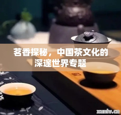 茗香探秘，中國茶文化的深邃世界專題