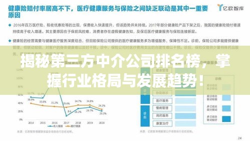 揭秘第三方中介公司排名榜，掌握行業(yè)格局與發(fā)展趨勢！