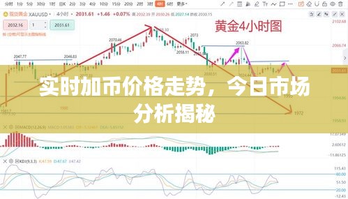 實(shí)時(shí)加幣價(jià)格走勢(shì)，今日市場(chǎng)分析揭秘