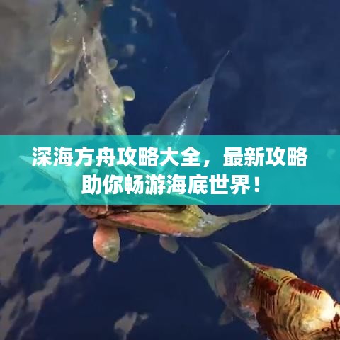 深海方舟攻略大全，最新攻略助你暢游海底世界！