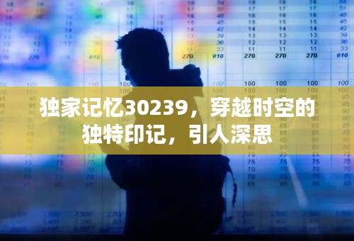 獨家記憶30239，穿越時空的獨特印記，引人深思