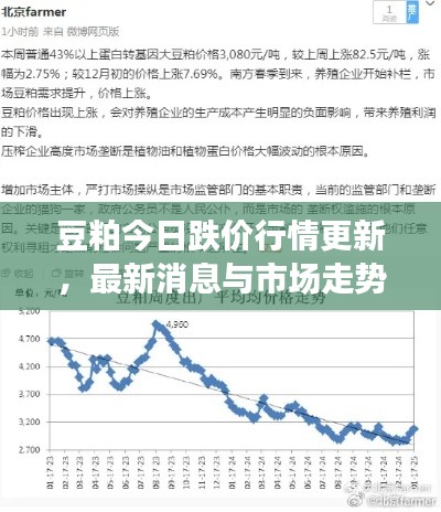 豆粕今日跌價行情更新，最新消息與市場走勢分析