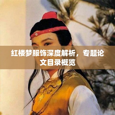 紅樓夢(mèng)服飾深度解析，專(zhuān)題論文目錄概覽