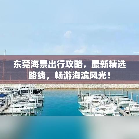 東莞海景出行攻略，最新精選路線，暢游海濱風(fēng)光！