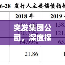 突發(fā)集團(tuán)公司，深度探索、應(yīng)對(duì)策略與未來(lái)展望