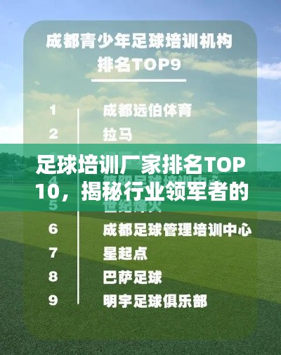 足球培訓(xùn)廠家排名TOP10，揭秘行業(yè)領(lǐng)軍者的秘密！