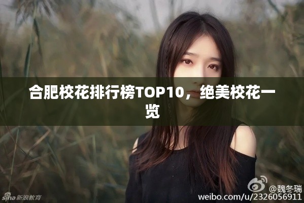 合肥校花排行榜TOP10，絕美校花一覽