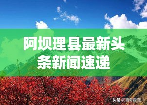 阿壩理縣最新頭條新聞速遞