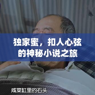 獨家蜜，扣人心弦的神秘小說之旅