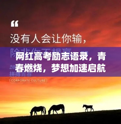 網(wǎng)紅高考勵(lì)志語錄，青春燃燒，夢想加速啟航