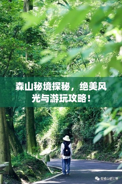 森山秘境探秘，絕美風(fēng)光與游玩攻略！