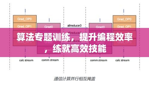 算法專題訓(xùn)練，提升編程效率，練就高效技能