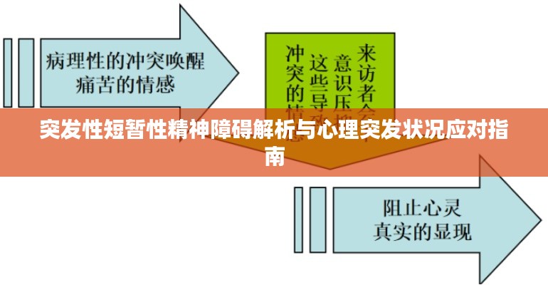 突發(fā)性短暫性精神障礙解析與心理突發(fā)狀況應(yīng)對(duì)指南