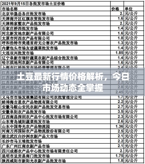 土豆最新行情價(jià)格解析，今日市場(chǎng)動(dòng)態(tài)全掌握