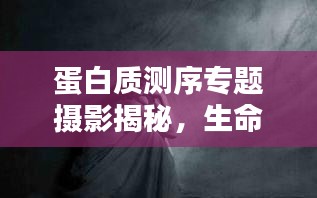 蛋白質(zhì)測(cè)序?qū)ｎ}攝影揭秘，生命之鏈的深邃奧秘