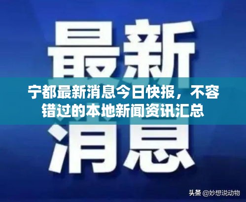 寧都最新消息今日快報(bào)，不容錯(cuò)過(guò)的本地新聞資訊匯總