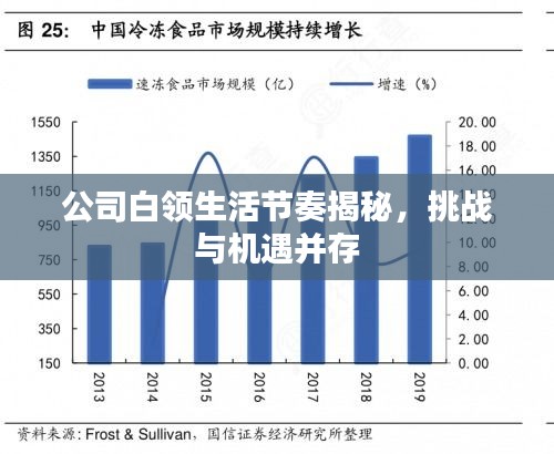 公司白領(lǐng)生活節(jié)奏揭秘，挑戰(zhàn)與機(jī)遇并存