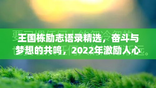 王國(guó)棟勵(lì)志語(yǔ)錄精選，奮斗與夢(mèng)想的共鳴，2022年激勵(lì)人心的話語(yǔ)