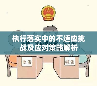 執(zhí)行落實中的不適應挑戰(zhàn)及應對策略解析