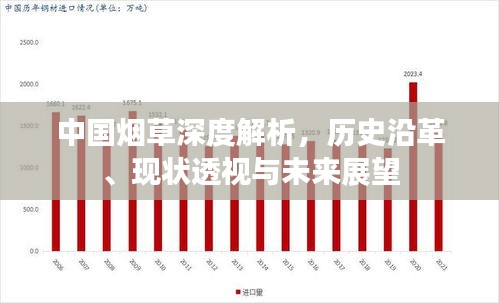 中國煙草深度解析，歷史沿革、現(xiàn)狀透視與未來展望