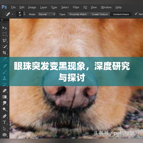 眼珠突發(fā)變黑現(xiàn)象，深度研究與探討