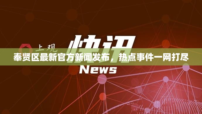 奉賢區(qū)最新官方新聞發(fā)布，熱點(diǎn)事件一網(wǎng)打盡