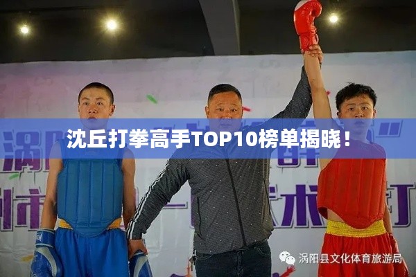 沈丘打拳高手TOP10榜單揭曉！