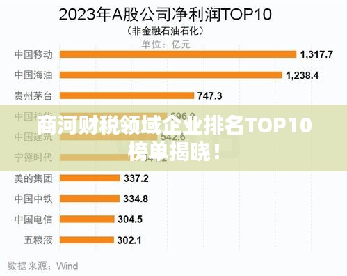 商河財稅領(lǐng)域企業(yè)排名TOP10榜單揭曉！