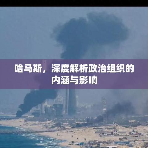 哈馬斯，深度解析政治組織的內涵與影響