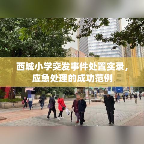 西城小學突發(fā)事件處置實錄，應急處理的成功范例