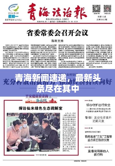 青海新聞速遞，最新頭條盡在其中