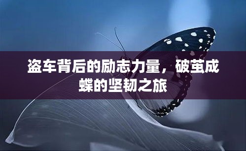 盜車背后的勵志力量，破繭成蝶的堅韌之旅