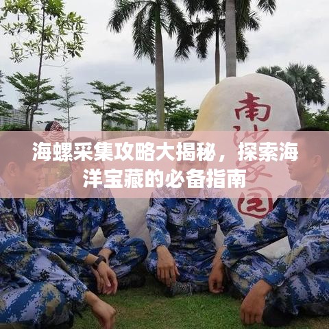 海螺采集攻略大揭秘，探索海洋寶藏的必備指南