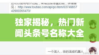 獨(dú)家揭秘，熱門新聞?lì)^條號(hào)名稱大全，一網(wǎng)打盡！