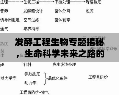 發(fā)酵工程生物專題揭秘，生命科學未來之路的探索之旅