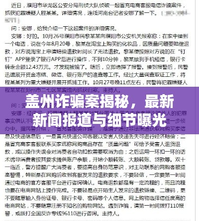 蓋州詐騙案揭秘，最新新聞報道與細節(jié)曝光